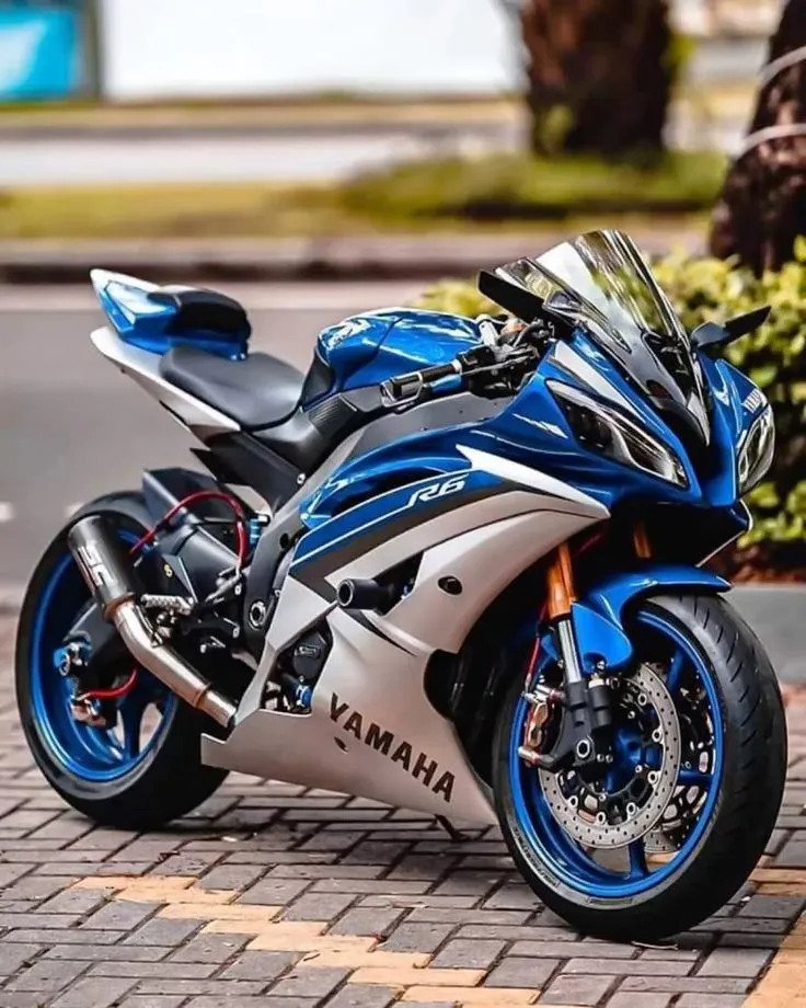 Posapies Delanteros Yamaha R6 R1 Huesos Pegs - Imagen 3
