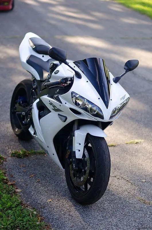 Posapies Delanteros Yamaha R6 R1 Huesos Pegs - Imagen 2