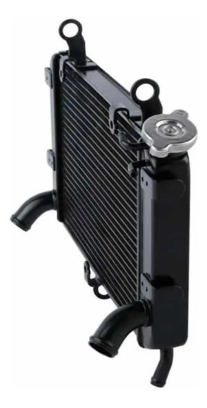 Radiador Para Moto Suzuki Gsx S750 750z 2018 A 2020 Nuevo!